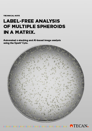 Label-free analysis of multiple spheroids in a matrix